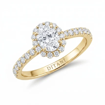 Gold halo engagement ring with a large center diamond, surrounded by a circle of smaller diamonds and a pavé diamond band.