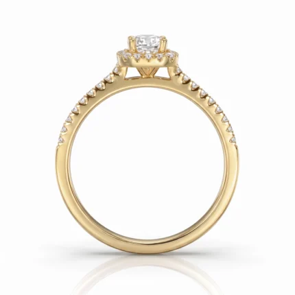 Gold engagement ring with a central diamond and pavé diamonds along the band, shown in a side view. This image communicates the ring's design and embellishments.