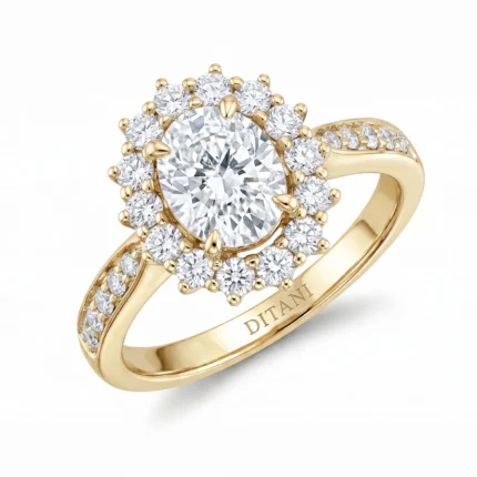 Gold ring with a large central round diamond surrounded by a halo of smaller diamonds; pavé diamonds along the band.