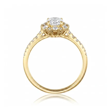 Gold engagement ring with a large central diamond and smaller diamonds along the band in a halo setting