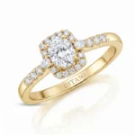 Gold ring with a large central diamond surrounded by a halo of smaller diamonds and pavé-set diamonds along the band, engraved DITANI inside the shank.